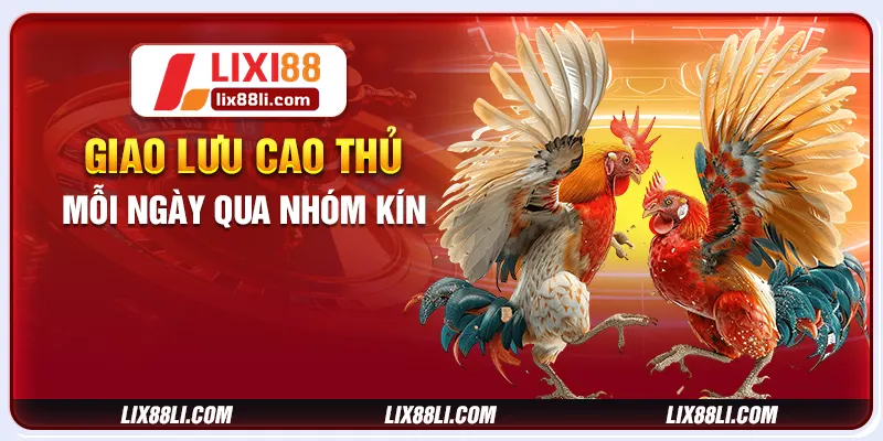 Giao lưu cao thủ mỗi ngày qua nhóm kín Giao lưu cao thủ mỗi ngày qua nhóm kín
